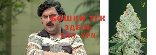сатива Гусев