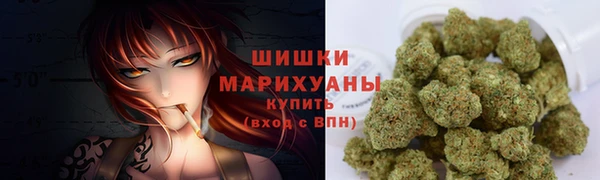сатива Гусев