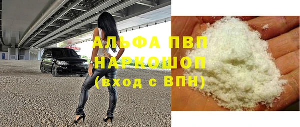 сатива Гусев