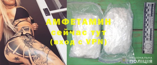 сатива Гусев
