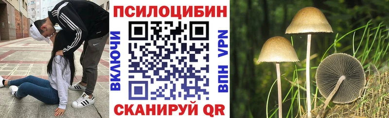 Галлюциногенные грибы Cubensis  Купить закладки  Новосокольники 