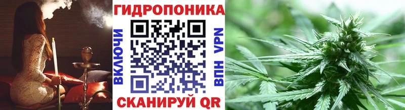 Купить закладки  Новосокольники  Марихуана индика 